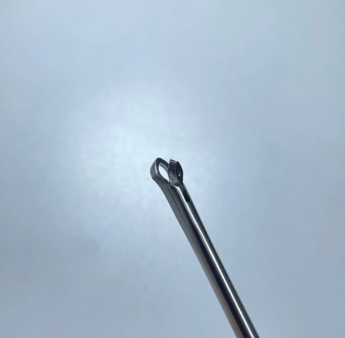 Premium Weil Blakesley Nasal Cutting Forceps