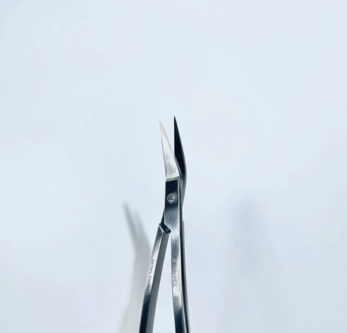 Premium Dean Gum Scissors Double Curve German Stainless