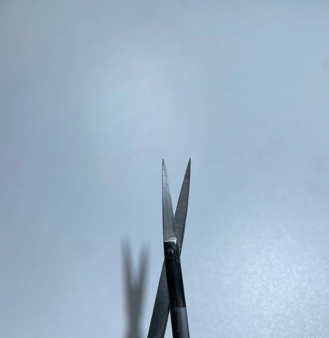 Premium Iris Ribbon Scissor German Stainless