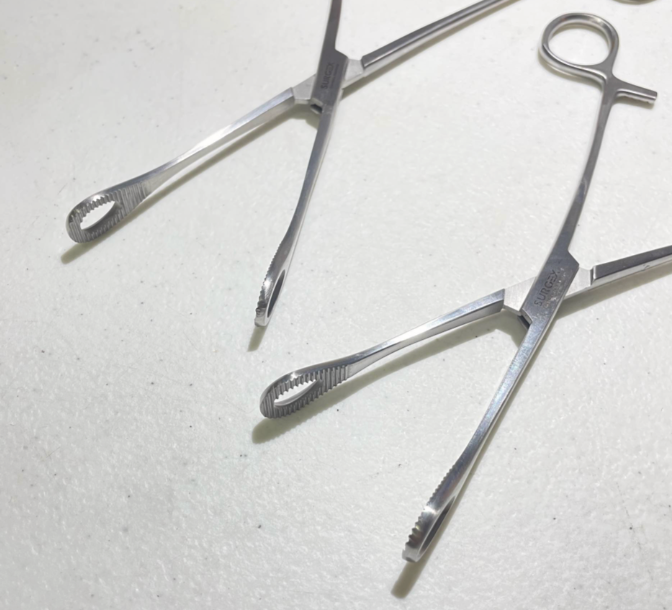 Sponge/Ovum Forceps