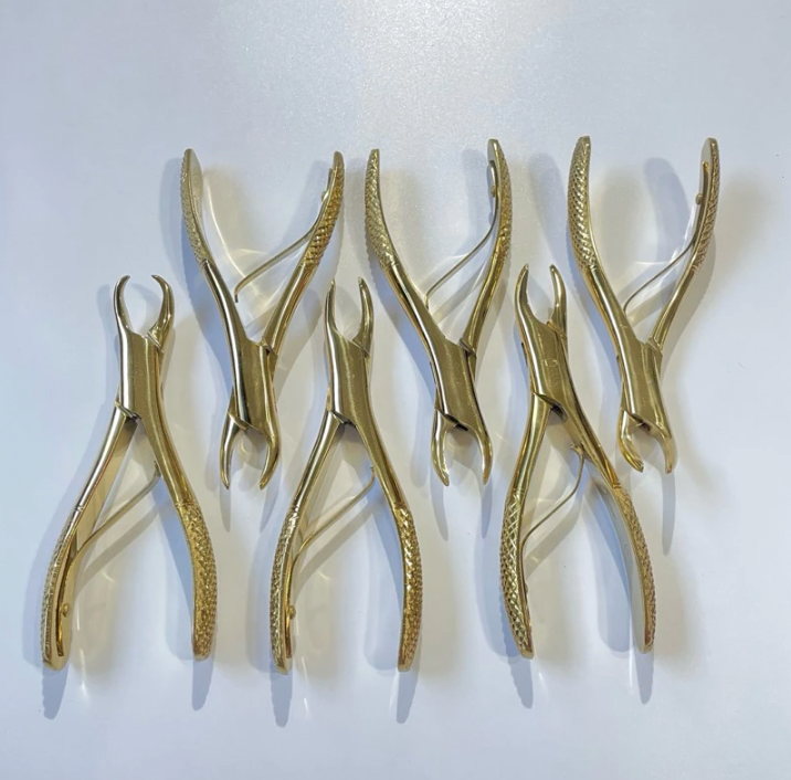 Surdent Extraction Forceps Sets