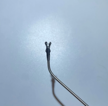 Premium Frental Sinus Graffe Forceps German Stainless