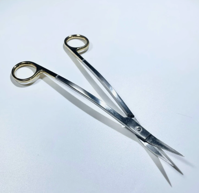 Premium Dean Gum Scissors Double Curve German Stainless