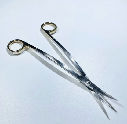 Premium Dean Gum Scissors Double Curve German Stainless