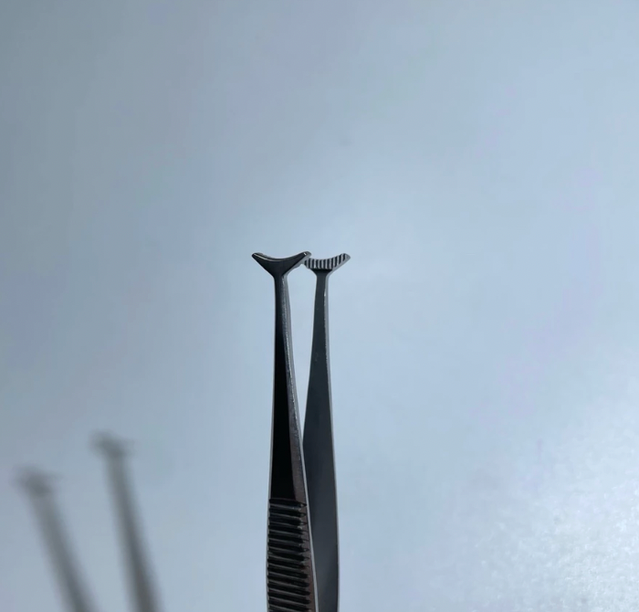 Premium Green Fixation Forceps German Stainless