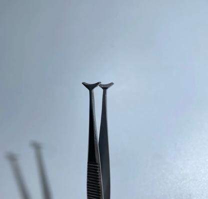 Premium Green Fixation Forceps German Stainless