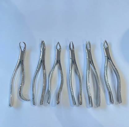 Surdent Extraction Forceps Sets