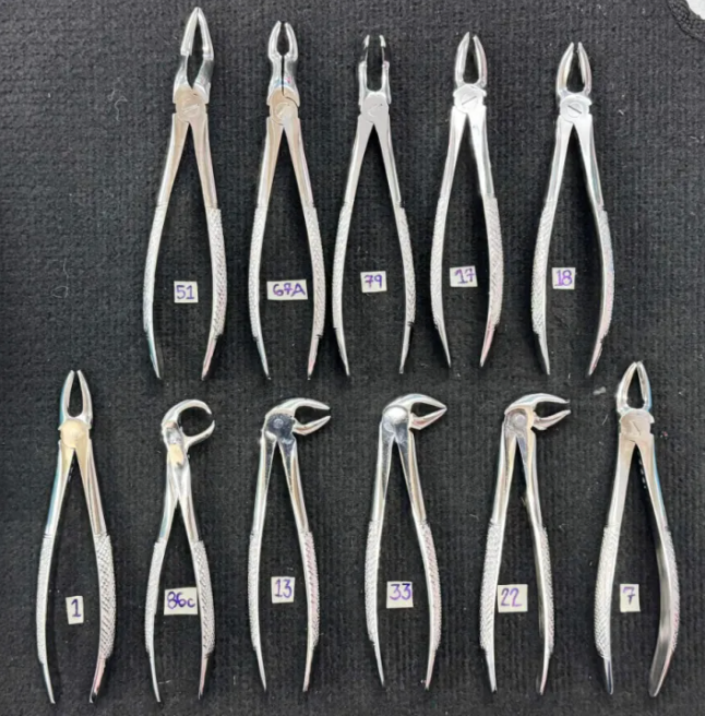 Surdent English Pattern Adult Forceps set of 10 pcs