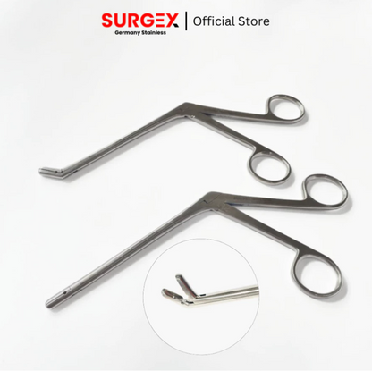 Takahashi Polypus and Septum