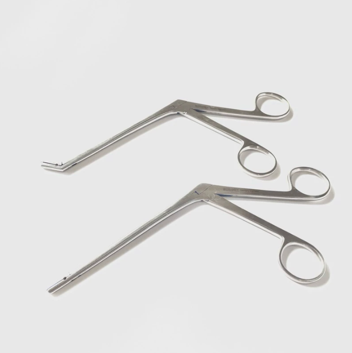Takahashi Polypus and Septum