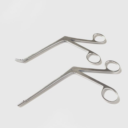 Takahashi Polypus and Septum