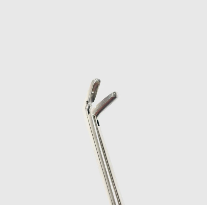 Takahashi Polypus and Septum