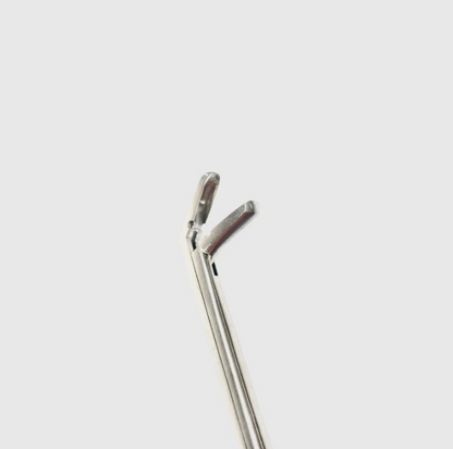 Takahashi Polypus and Septum