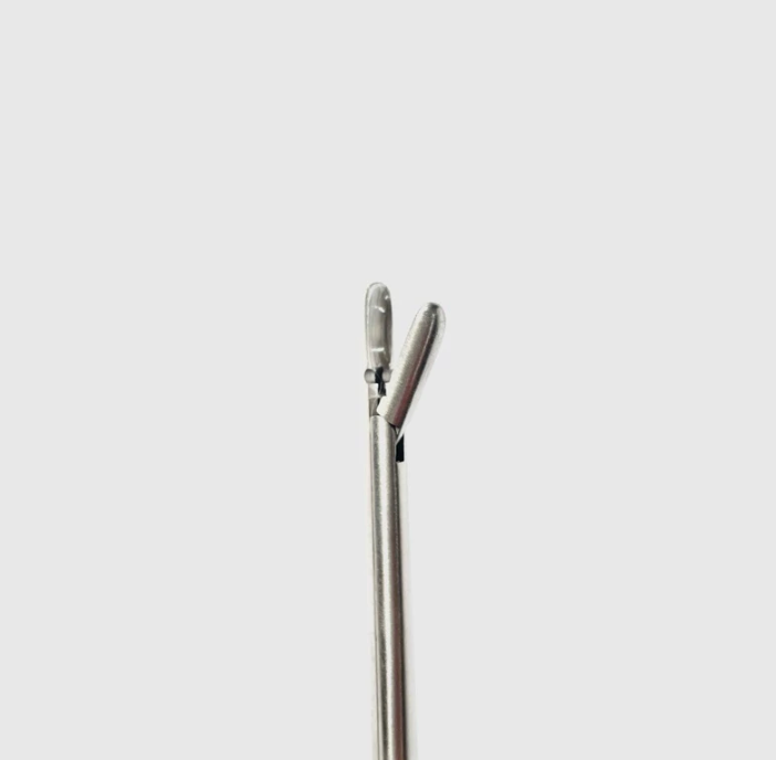 Takahashi Polypus and Septum