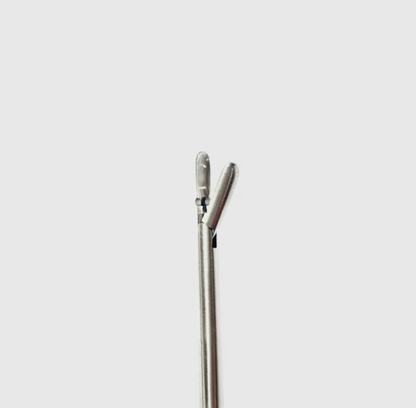 Takahashi Polypus and Septum