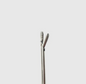 Takahashi Polypus and Septum