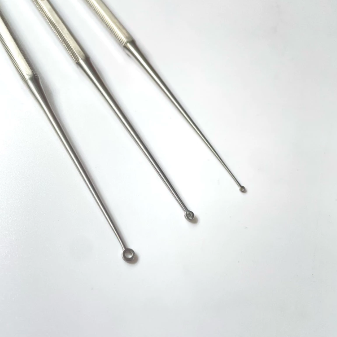 Buck Curette Blunt