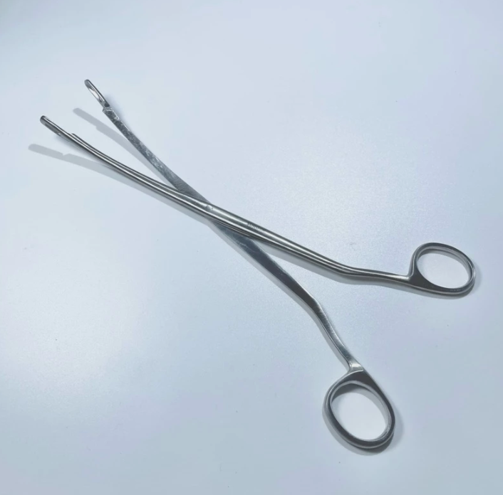 Desjardins Gall Stone Forceps